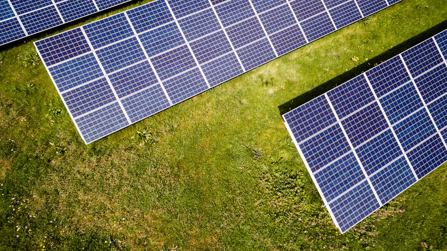 Vale verde com rio serpenteando, metáfora para fluxo de migração planejado
