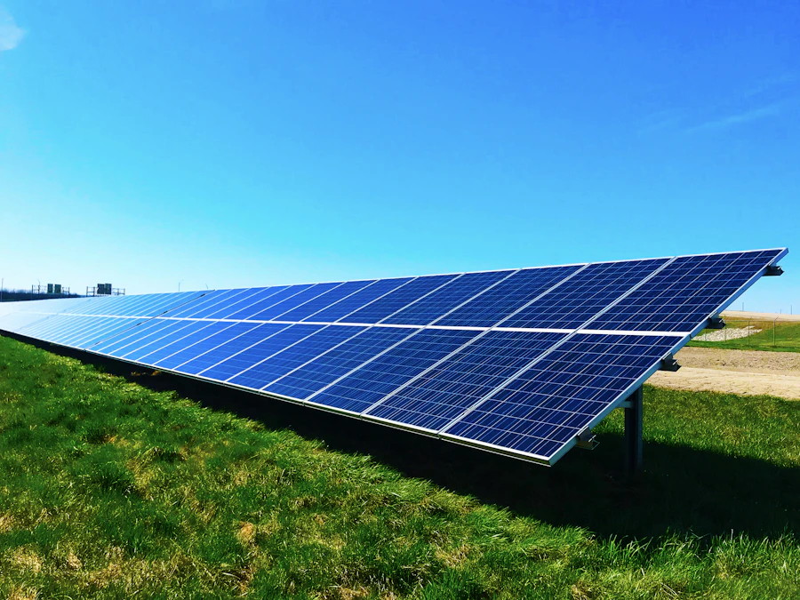 Estufa envidraçada com plantas e estrutura metálica iluminada por luz natural, referência à infraestrutura sustentável
